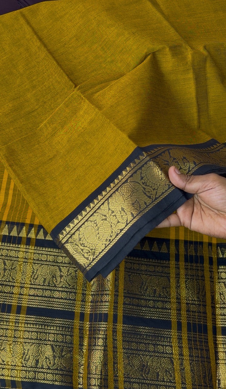 Pure Kanchi Cotton Saree - Dii034